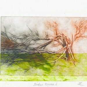 Lesley Lillywhite February Rowan Collagraph and Etching 215 x 410mm
