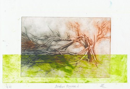 Lesley Lillywhite February Rowan Collagraph and Etching 215 x 410mm