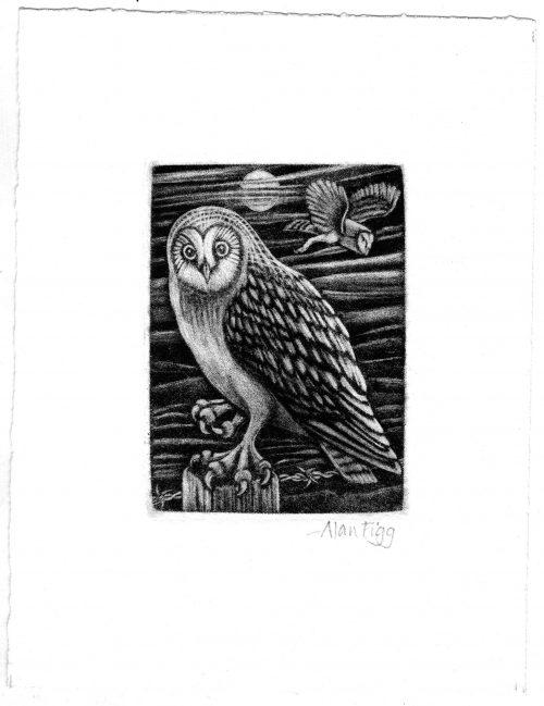 Alan Figg | ‘Night Owls’ | Mezzotint  |  10 x 7cm
