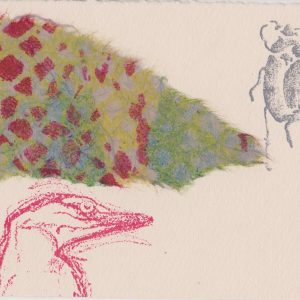 Rose Davies Bird and Bugs 1 Screenprint 15 x 10 £35