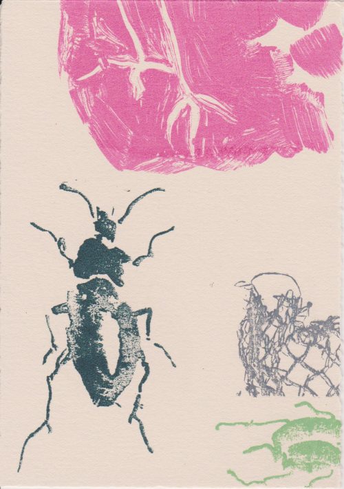 Rose Davies Bird and Bugs 6 Screenprint 15 x 10 £35
