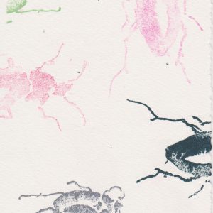 Rose Davies Bugs 6 Screenprint 15 x 10 £35