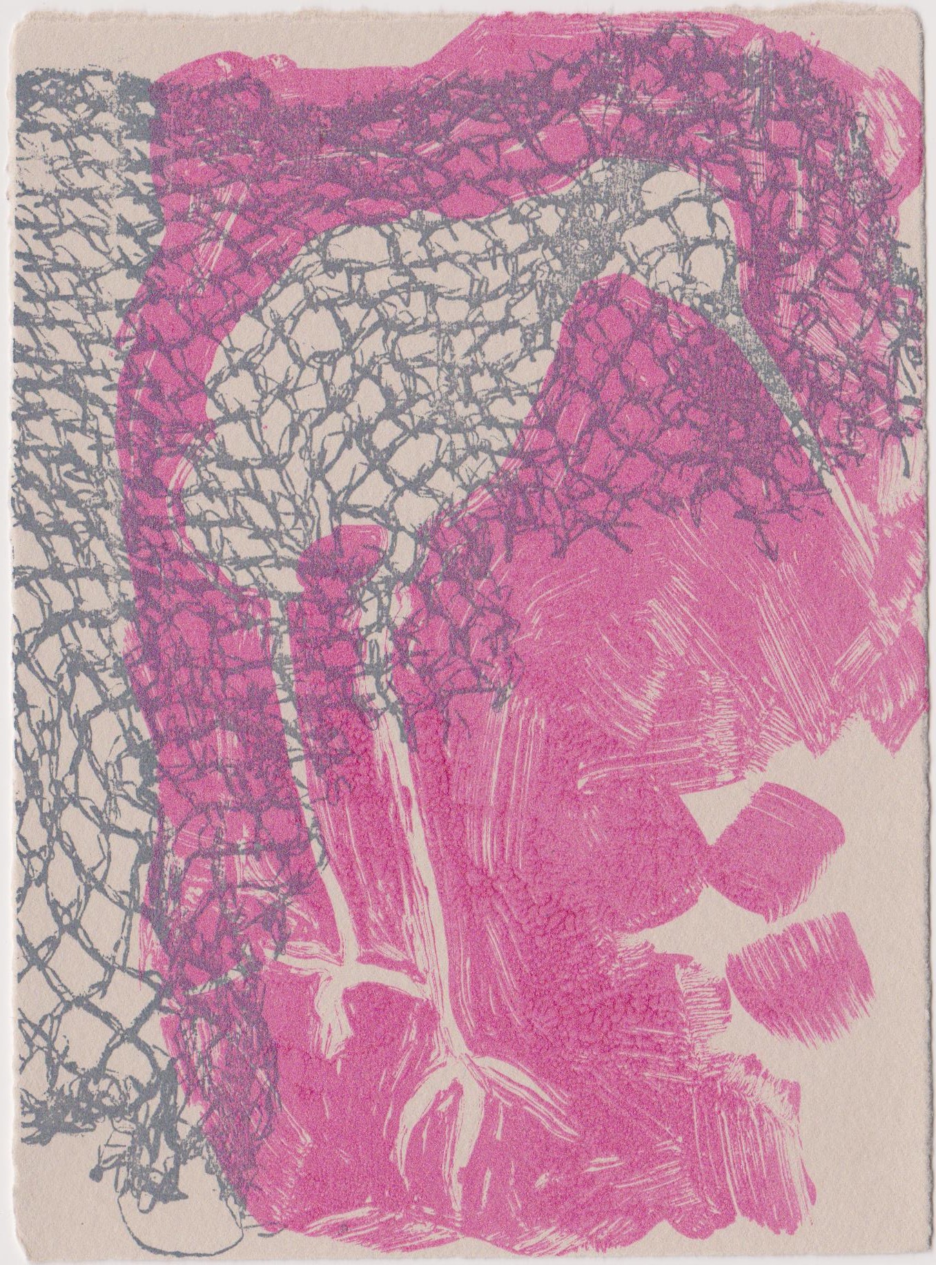 Rose Davies ‘Snipe 1’ Screenprint | Swansea Print Workshop