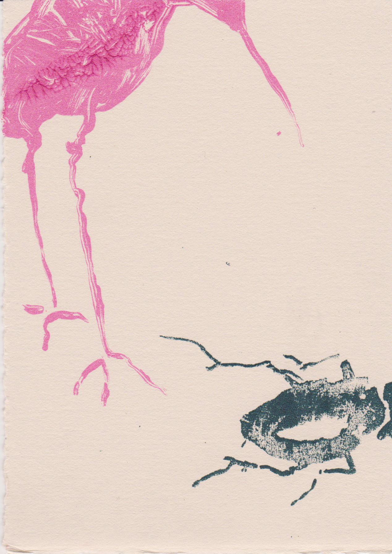 Rose Davies ‘Snipe 3’ Screenprint | Swansea Print Workshop