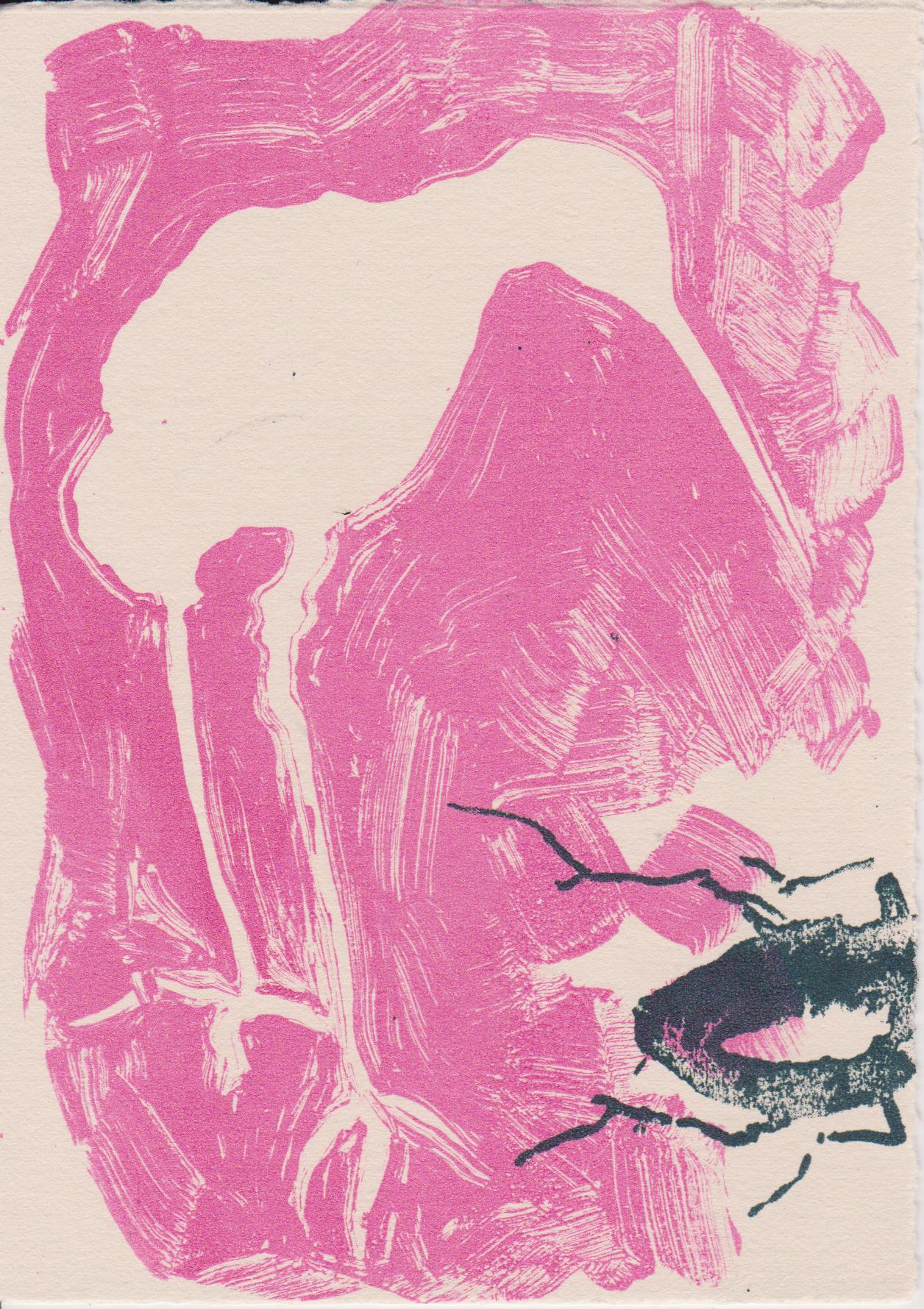 Rose Davies ‘Snipe 7’ Screenprint | Swansea Print Workshop