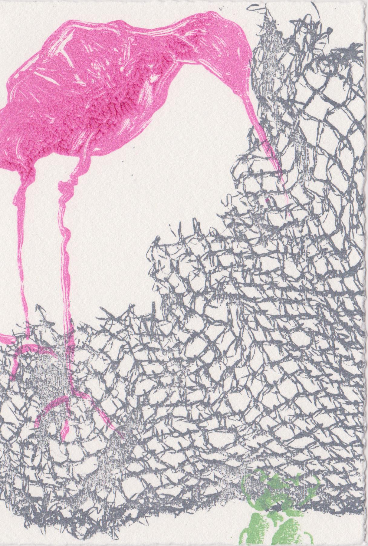 Rose Davies ‘Snipe 8’ Screenprint | Swansea Print Workshop