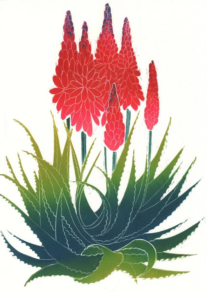 'Aloe', linocut jigsaw, approx image size 43 cm x 30cm