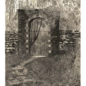 Jenny Mynett | Mrs Johnson’s Flower Garden | Etching | 28x23cm | £55