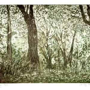 Jenny Mynett | One Windy Day 4/15 | Etching | 19x28cm | £40