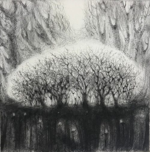 Flora McLachlan | Blackthorn | drypoint | 16x16cm £160