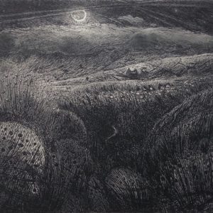 Flora McLachlan | Eclogue I : your pastures all choked with rushes and mire | etching | 15x18cm £160