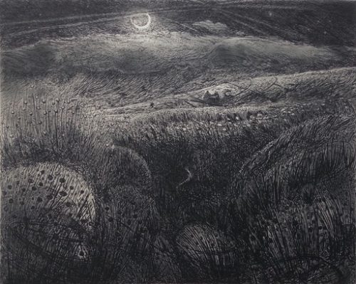 Flora McLachlan | Eclogue I : your pastures all choked with rushes and mire | etching | 15x18cm £160