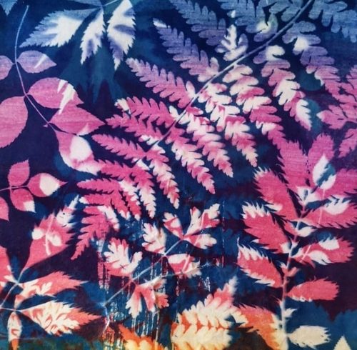 SolarFast/Cyanotype Workshop | Nathalie Stone | Wednesday 16 April 2025 - Image 2