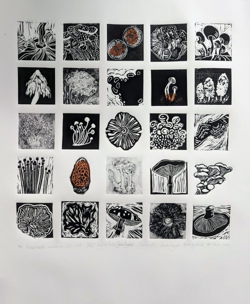 Members Group Print Day with Sarah Hopkins | Sunday 12 October 2025