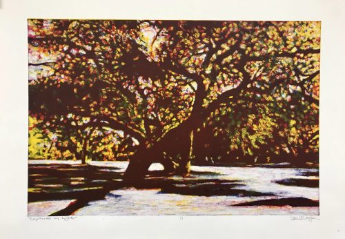 Transparent Stacked 3-colour Monotype | Vinita Voogd | Friday 6 June 2025 - Image 3