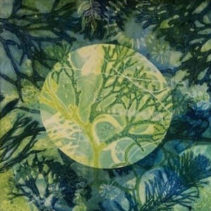 Louise Hughes |  Gel Printing - Beyond The Basics | Sunday 23 November | 2025 
