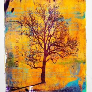 Louise Hughes |  Gel Plate Printing - ‘Impress to Print’ | Sunday 26 October 2025