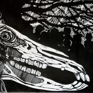 Rose Davies | Mari Madarch Abertawe | linocut 21x42cm  £225.00
