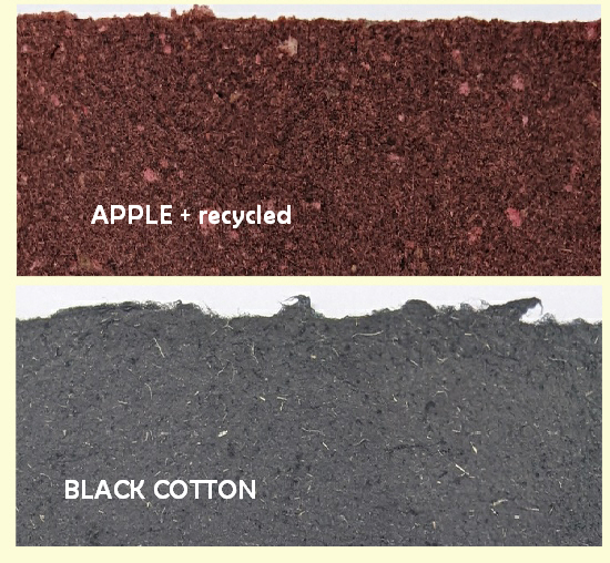 Papermaking Workshop @ Wild Plant Papers - Image 5