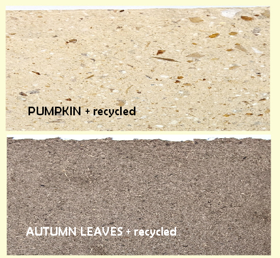 Papermaking Workshop @ Wild Plant Papers - Image 4