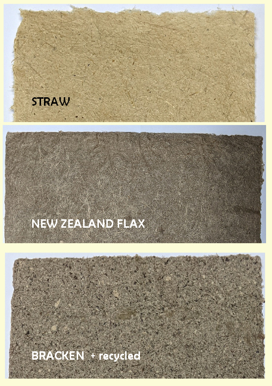 Papermaking Workshop @ Wild Plant Papers - Image 3