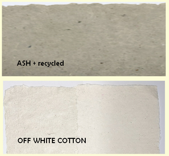 Papermaking Workshop @ Wild Plant Papers - Image 2