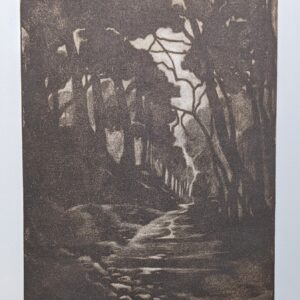 Alison Shotbolt | Deepin the Forest | Mezzotint | 24x18cms | £70
