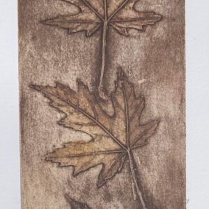 Heidi Mehta | Tumble AP | Monotype | 30x11cms | £10