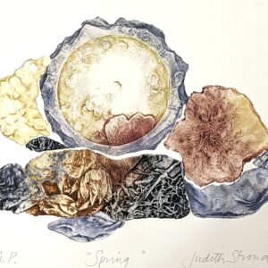 Judith Stroud | Spring AP | Collagraph | 56 x 38 cm | £70.00