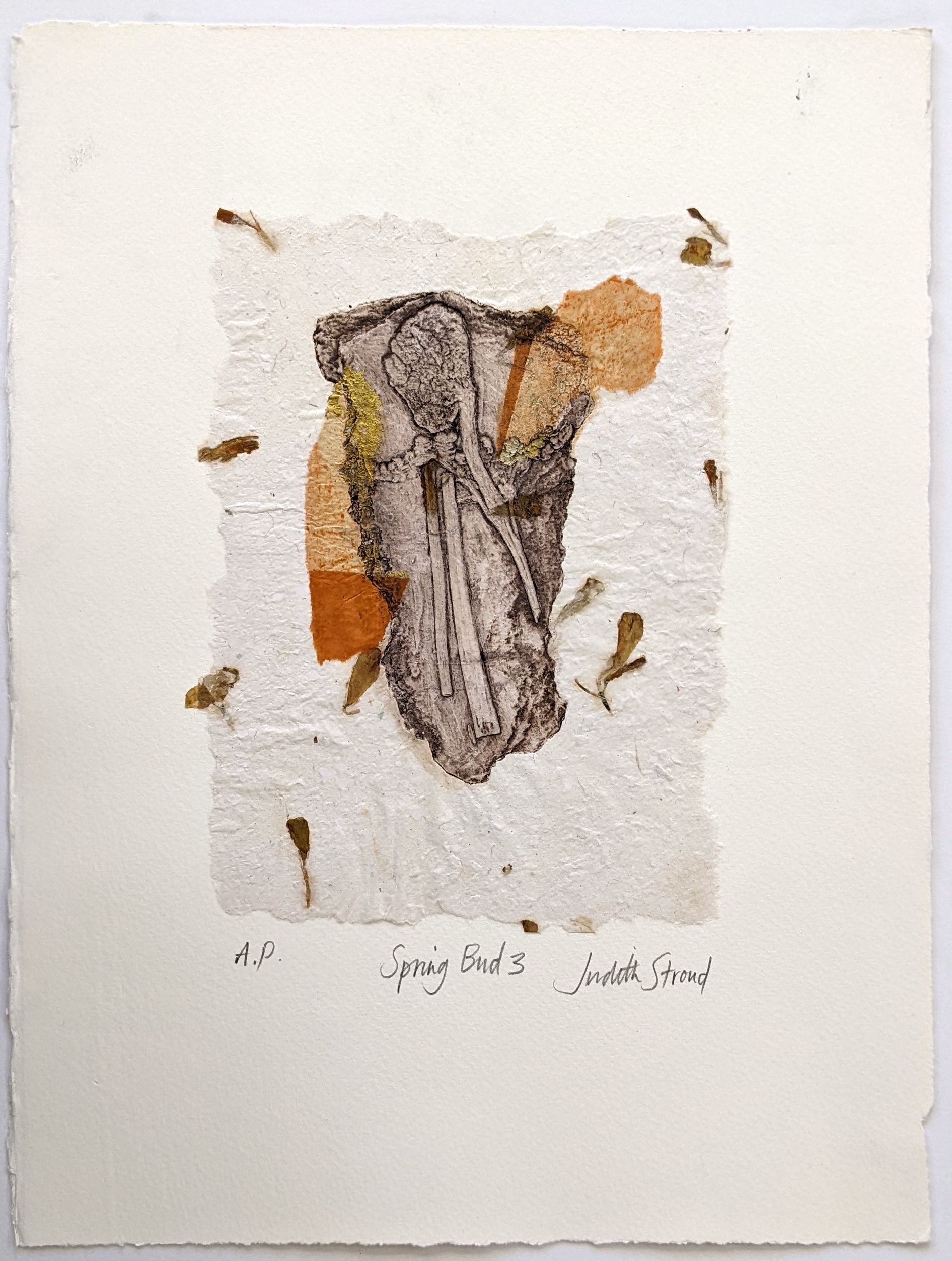 Judith Stroud | Spring Bud 3 | Collagraph | 25 x 16 cm | £45.00