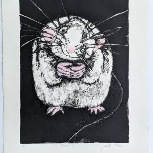 Judith Stroud | Enormous AP - SOLD | Collagraph | 41 x 29 cm | £110