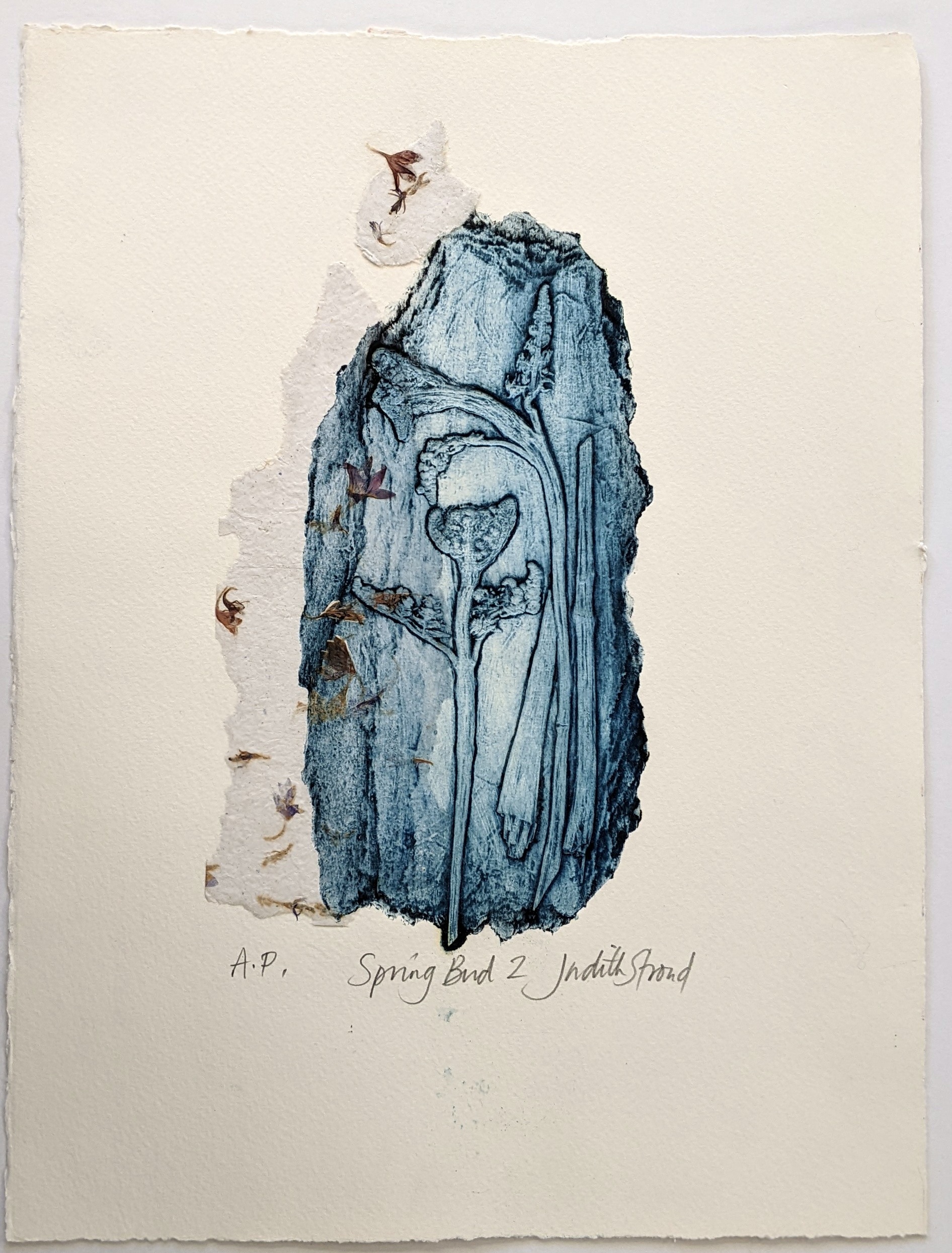Judith Stroud | Spring Bud 2 | Collagraph | 25 x 16 cm | £45.00