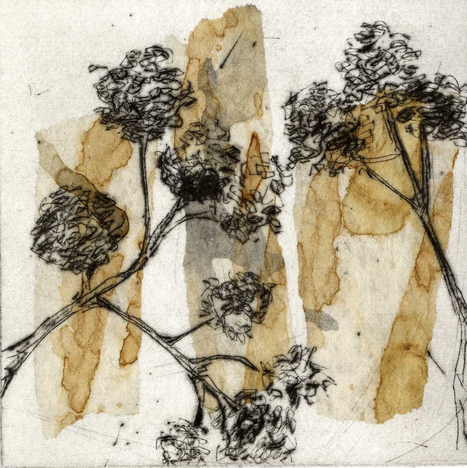 Sian Barlow | Alder Cones* | Collagraph with Chine Colle | 39.00