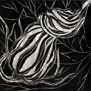 Tanya Rotherfield | Bud *| Linocut | 24.00