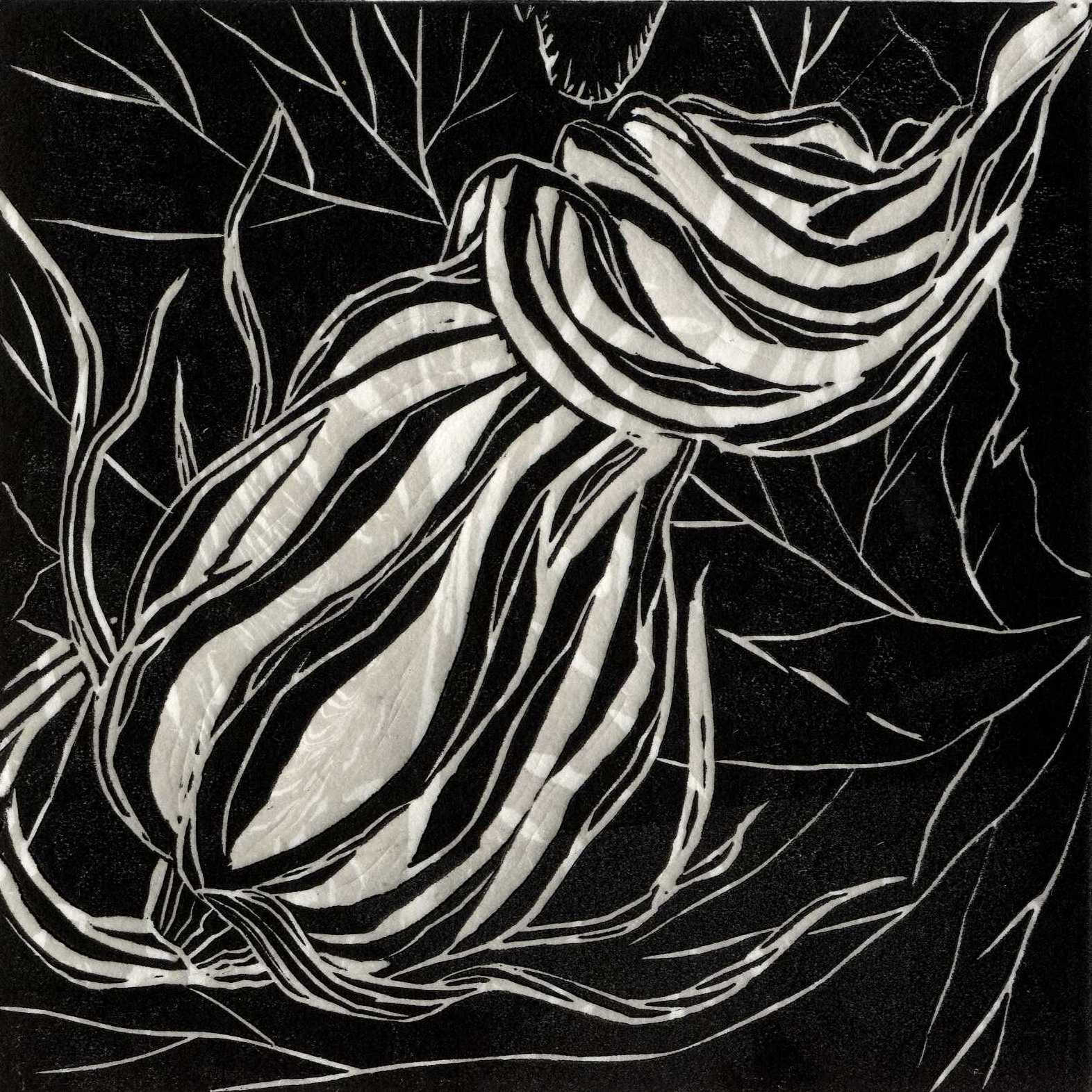 Tanya Rotherfield | Bud *| Linocut | 24.00