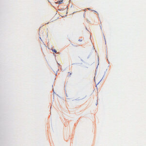 Melvyn Williams Basic A4 Coloured finepoint pen £250