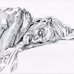 Melvyn Williams | Sleeping | A4 | Black finepoint pen | £350