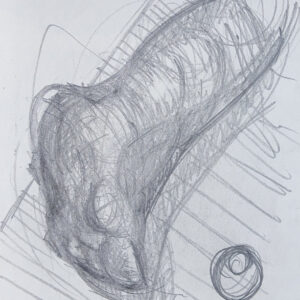 Rossco The Foot Of Who 29x42 cm pencil on card £75